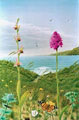Bee & Pyramidal Orchids by the sea