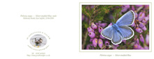 Landscape format card sample