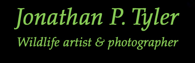 Jonathan P. Tyler page title text